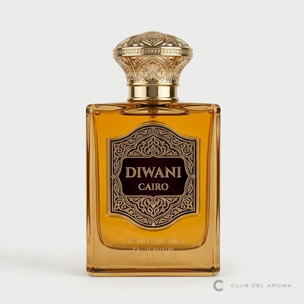 Diwani Cairo - imagen 1