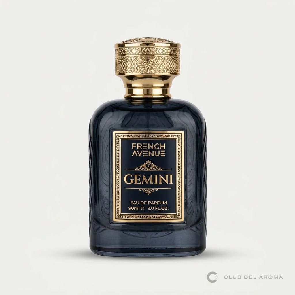 Gemini - imagen 1